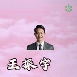 王振宇